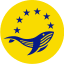 dal ventre della balena logo